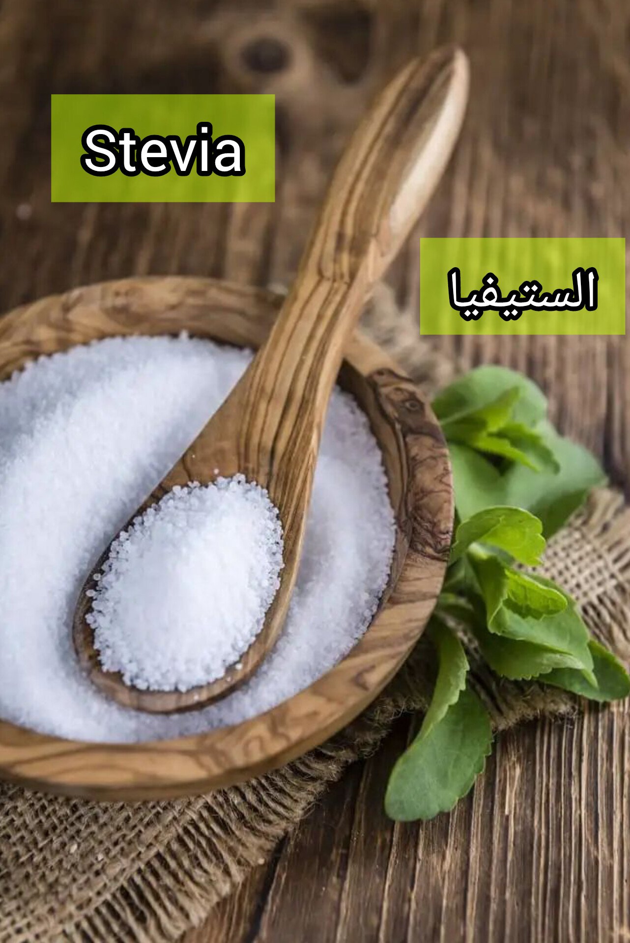 بذور نبتة ستيفيا السكرية Stevia - الصورة 3