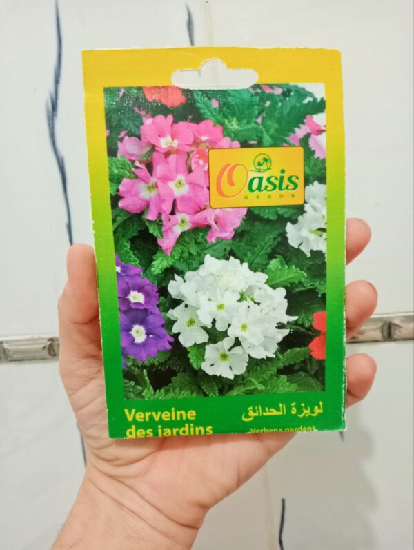 بذور زهرة ويزة الحدائق
