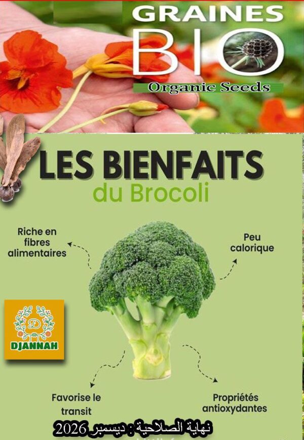 بذور البروكلي 🥦