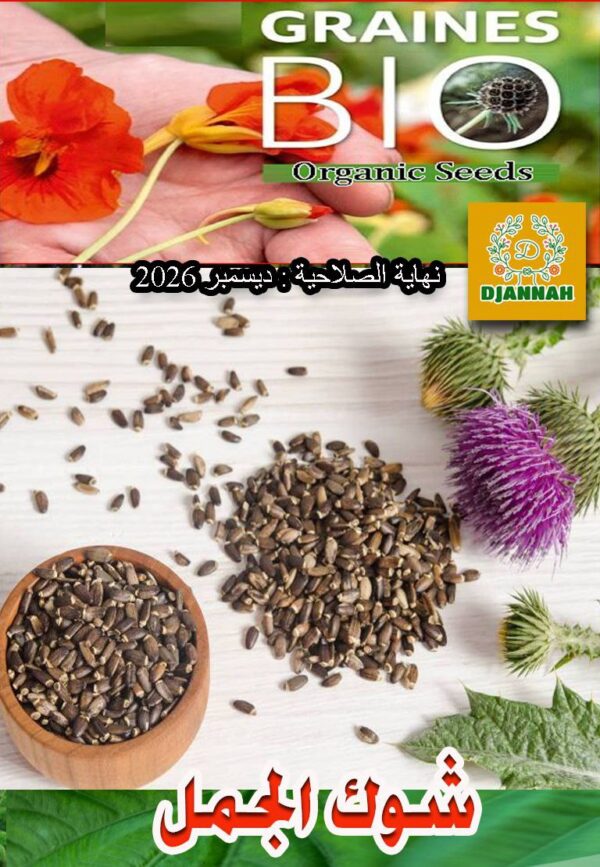 بذور شوك الجمل