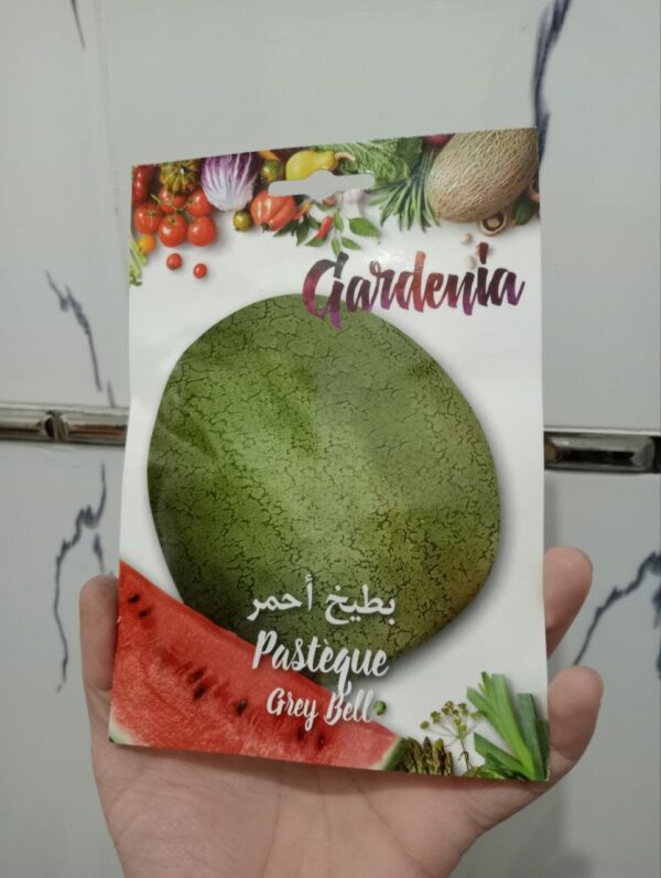 بذور البطيخ الأحمر (gardenia)