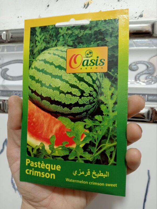 بذور البطيخ القرمزي
