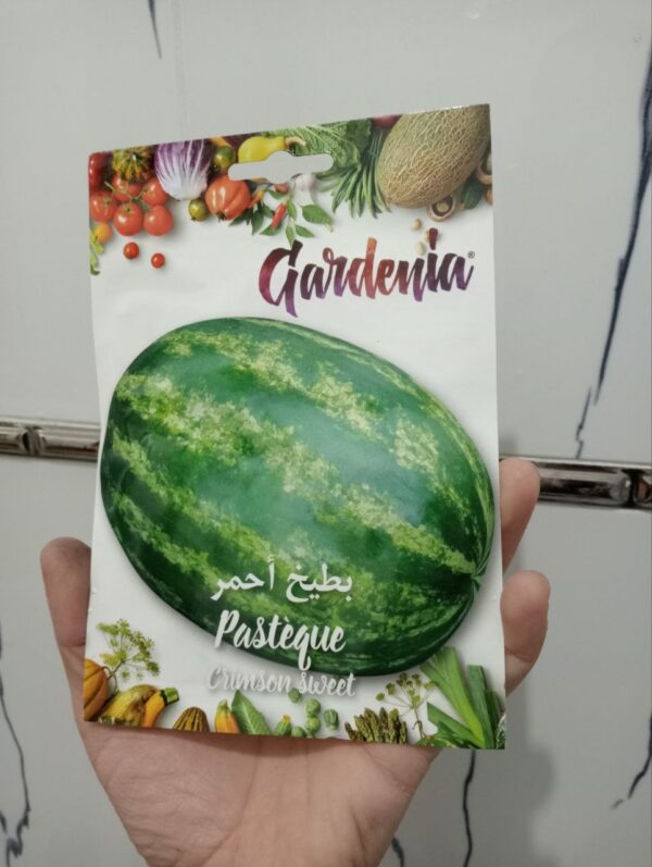 بذور البطيخ كريمسون
