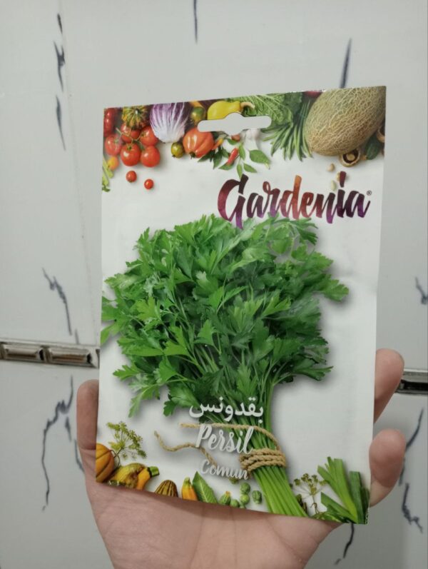 بذور البقدونس(gardenia)