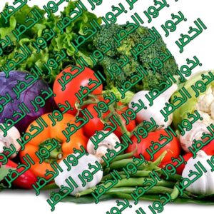 بذور الخضر