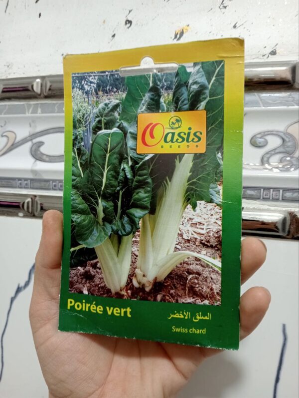 بذور السلق الأخضر