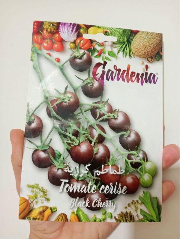 بذور الطماطم الكرزية السوداء