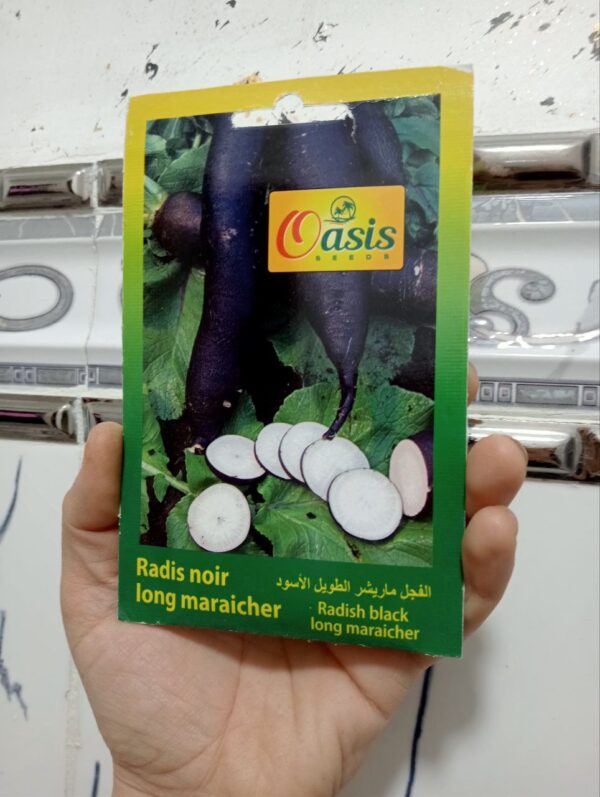 بذور الفجل الأسود الطويل