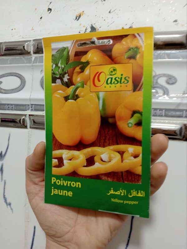 بذور الفلفل الأصفر