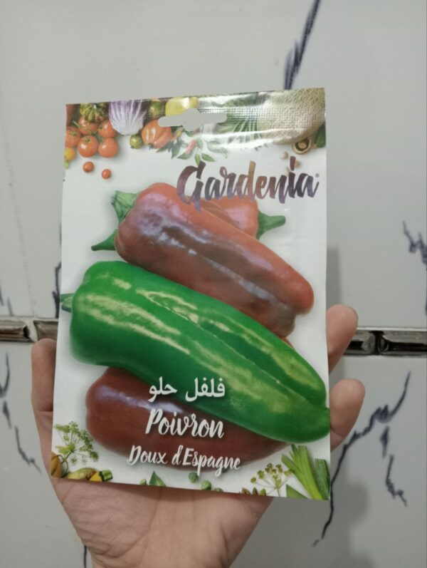 بذور الفلفل الحلو الأحمر و الأخضر