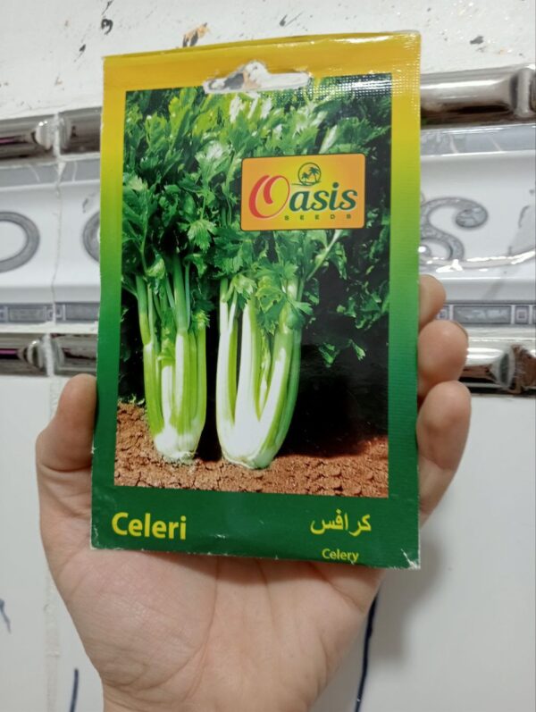 بذور الكرافس