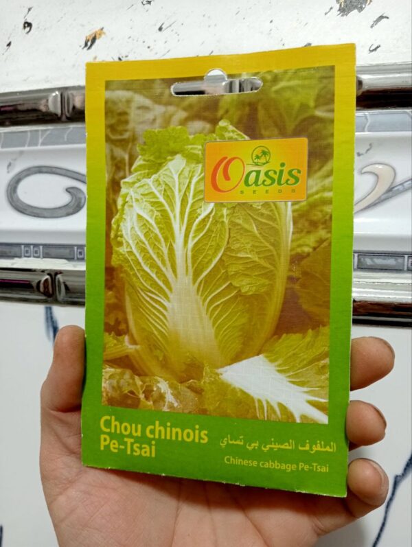 بذور الكرنب الصيني