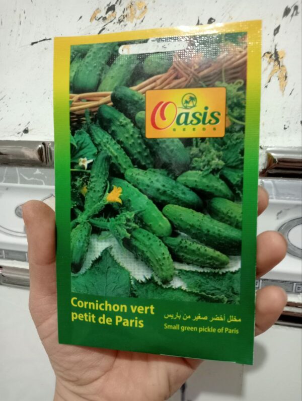 بذور الكورنيشو باريس