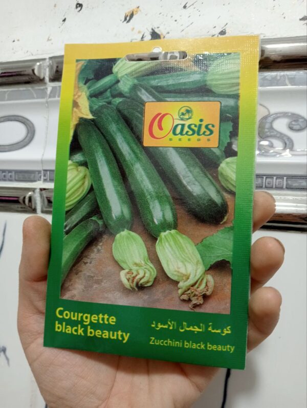 بذور الكوسة