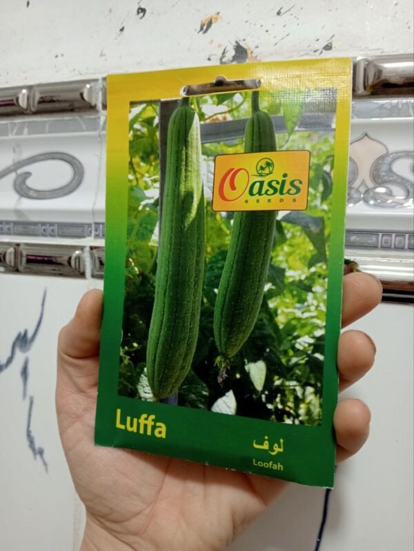 بذور اللوف
