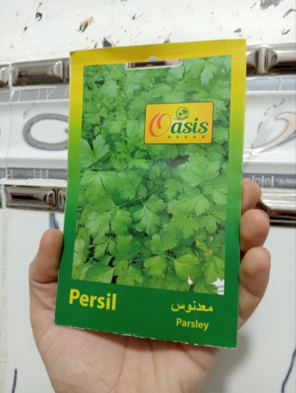 بذور المعدنوس 2