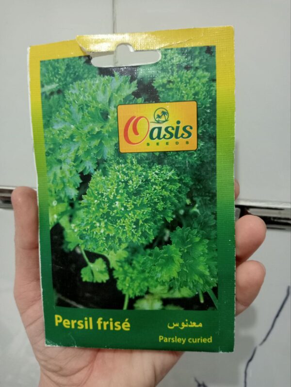 بذور المعدنوس