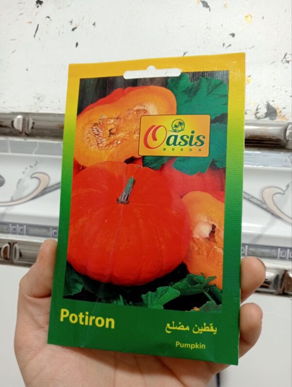 بذور اليقطين الأحمر