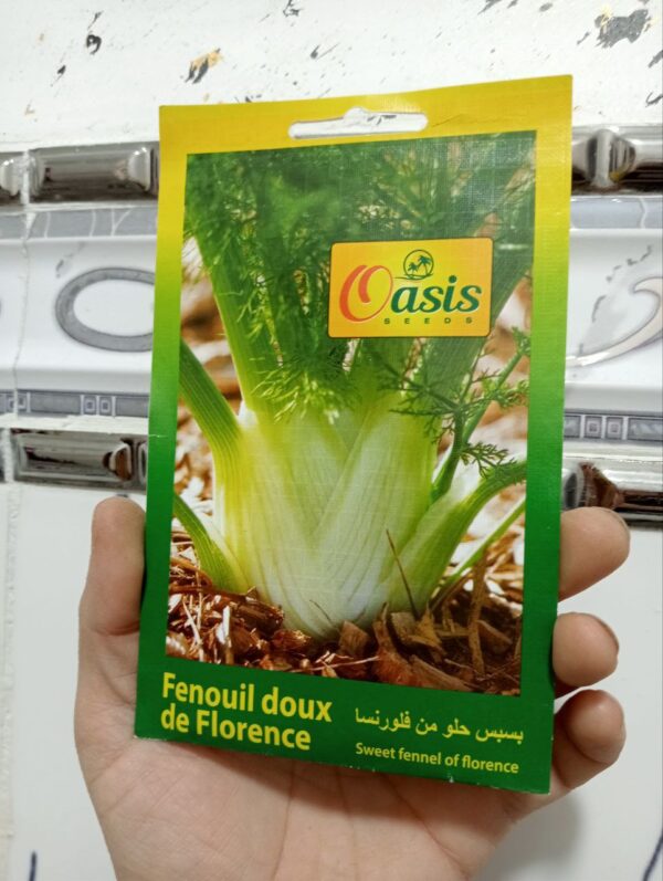 بذور بسبس فلورانس