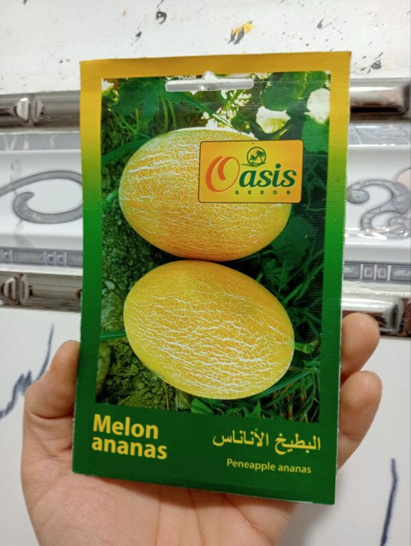 بذور بطيخ الأناناس