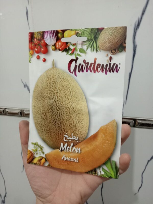 بذور بطيخ الأناناس (gardenia)