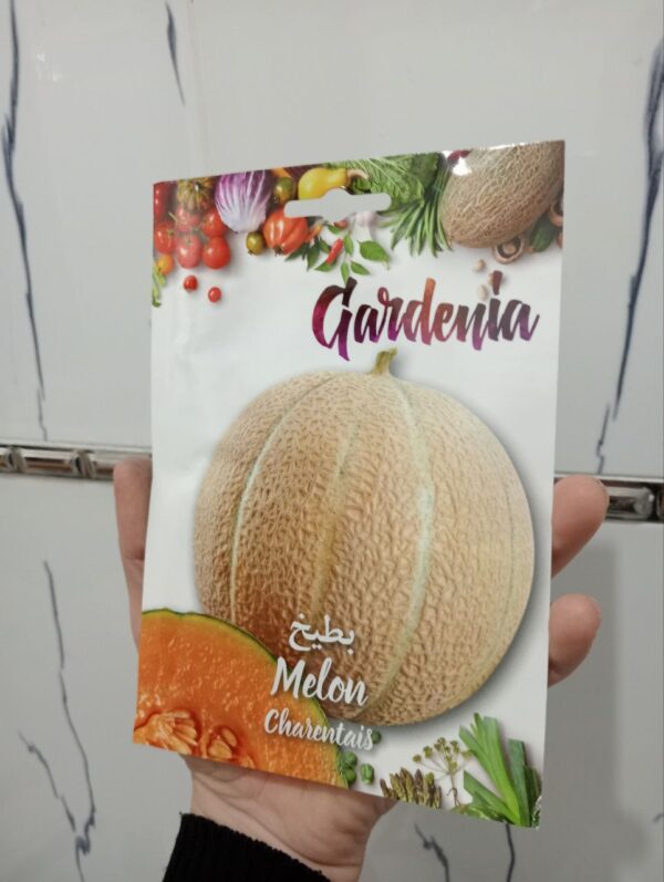 بذور بطيخ شارانتي الأصفر