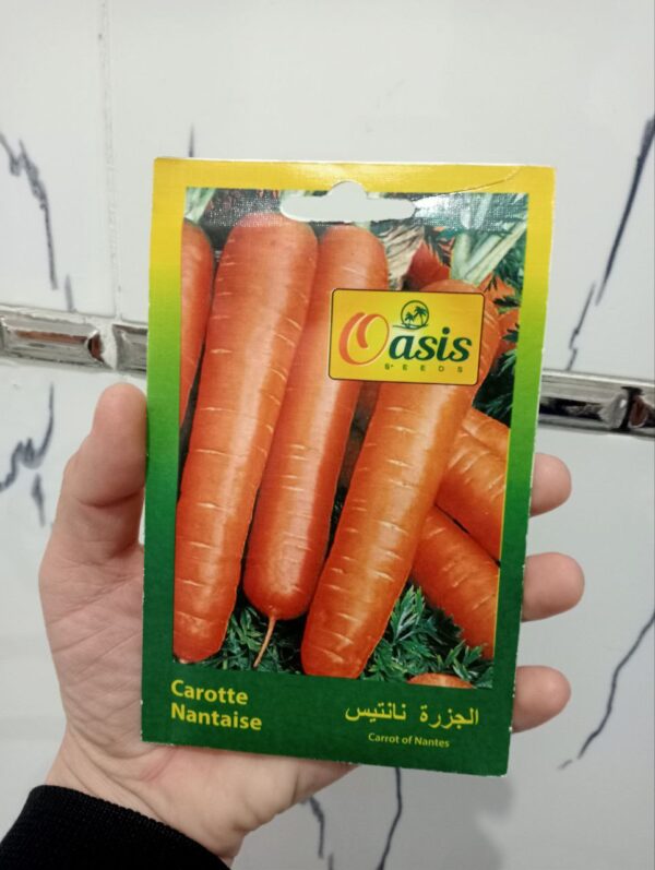 بذور جزر نانتيس