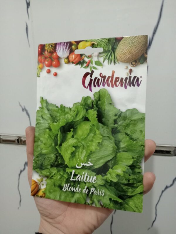 بذور خس باريس gardenia