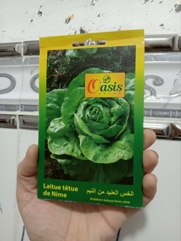 بذور خس نيم