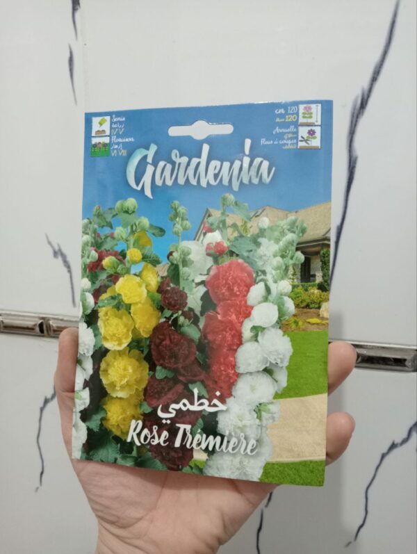 بذور زهرة الخطمي