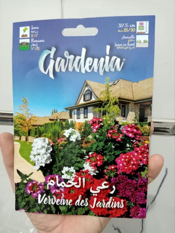 بذور زهرة رعي الحمام