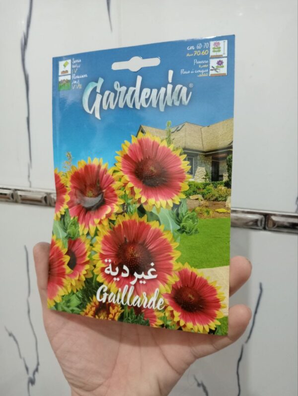 بذور زهرة غيردية