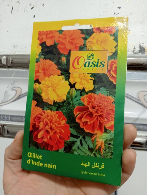 بذور زهرة قرنفل الهند