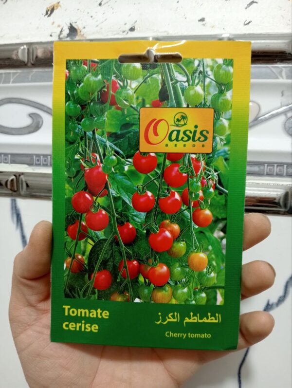 بذور طماطم الكرز
