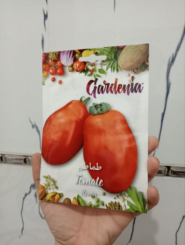 بذور طماطم روما 2