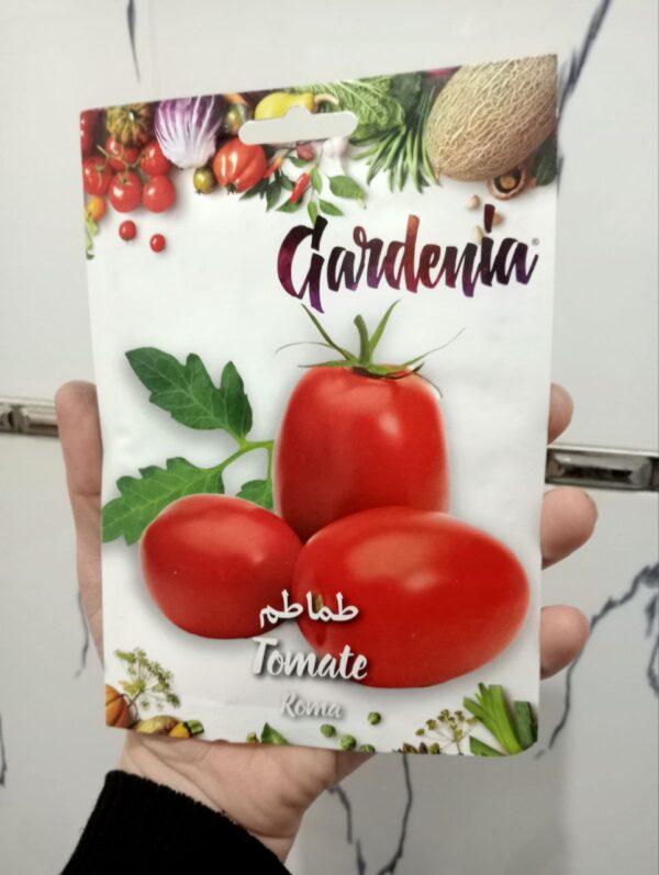 بذور طماطم روما