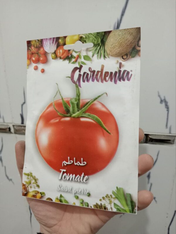 بذور طماطم سان بيار