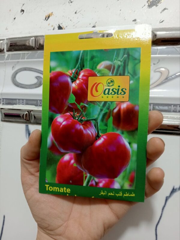 بذور طماطم قلب البقر
