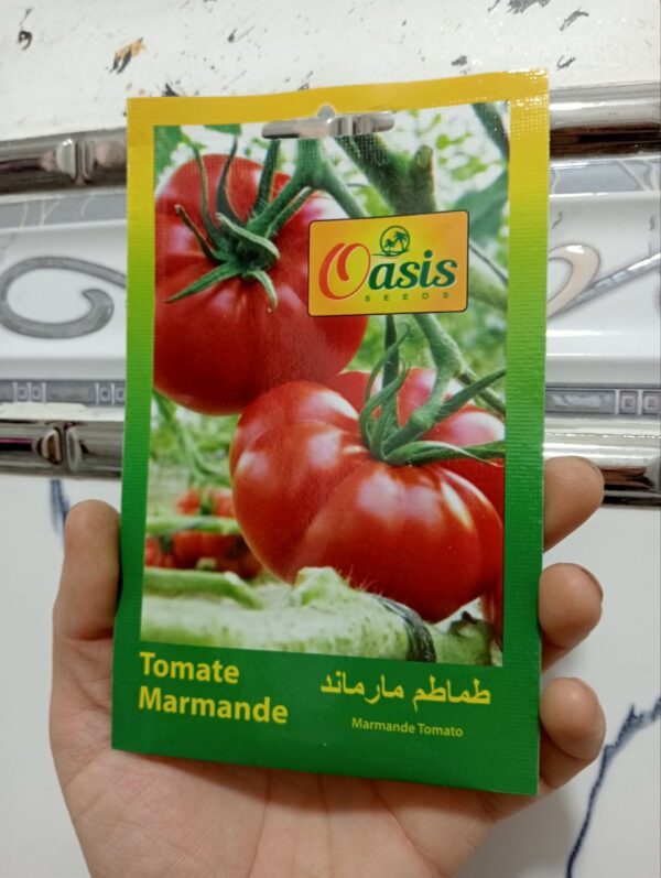 بذور طماطم مرماند