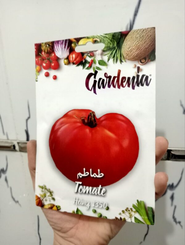 بذور طماطم هانز