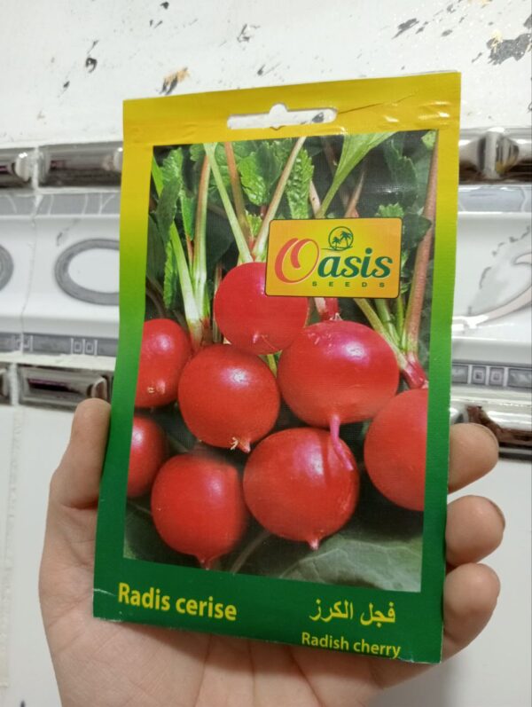 بذور فجل الكرز