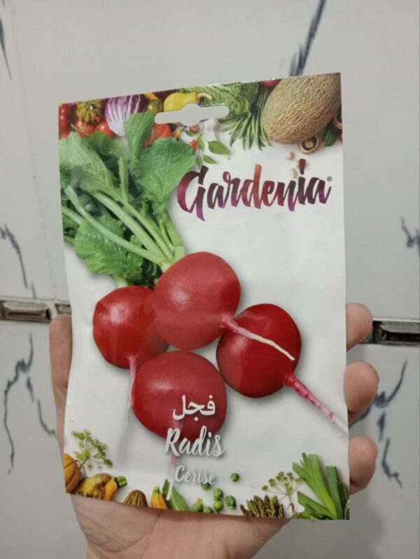 بذور فجل الكرز(gardenia)
