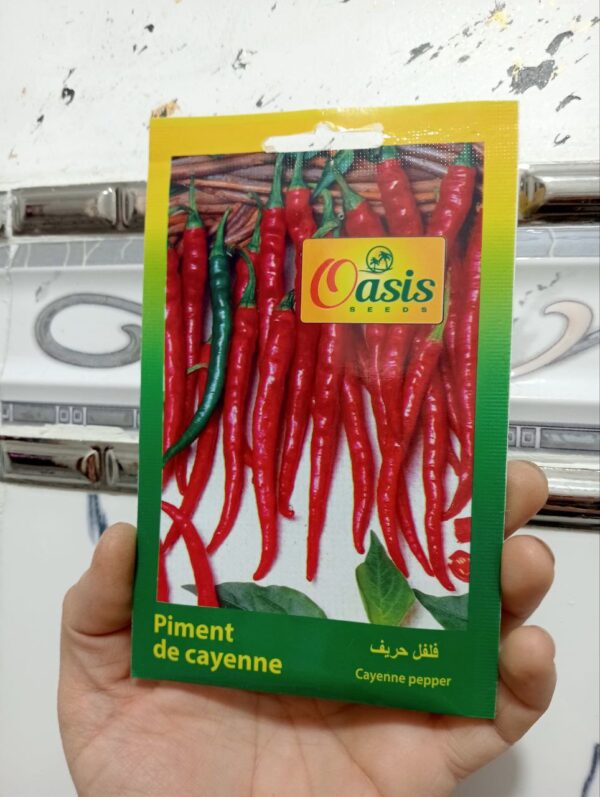 بذور فلفل الحار حريف