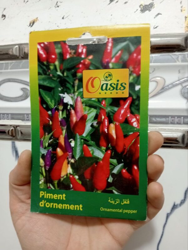 بذور فلفل الزينة