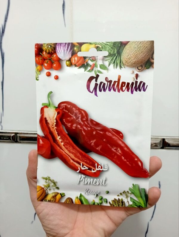 بذور فلفل حار أحمر