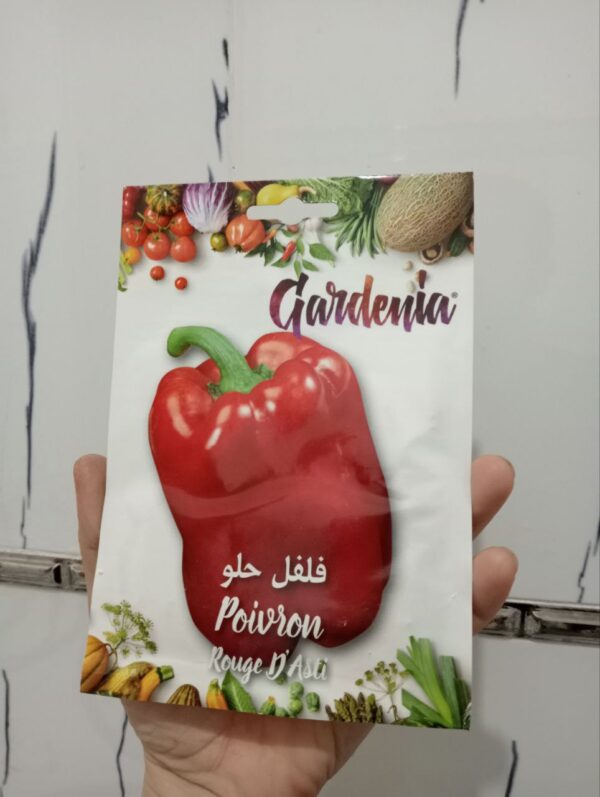 بذور فلفل حلو احمر