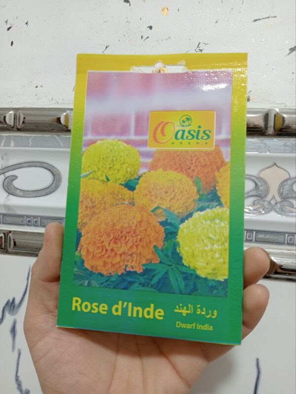 بذور وردة الهند