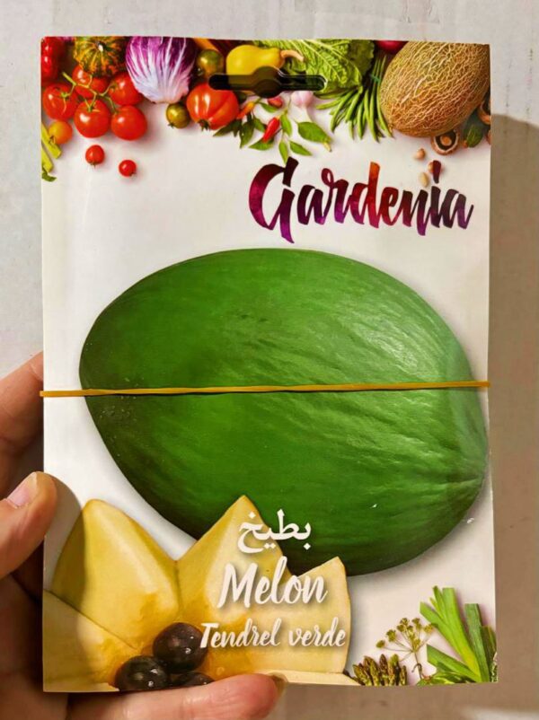 بذور البطيخ الأخضر