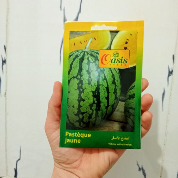 بذور البطيخ الأصفر