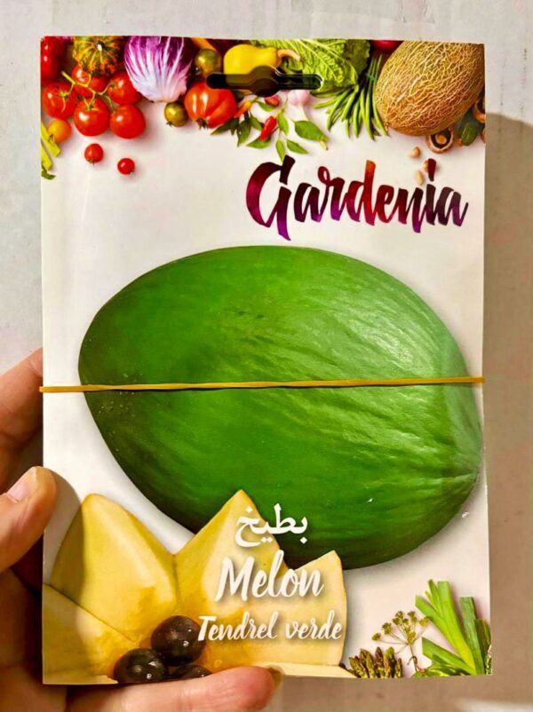 بذور البطيخ 2